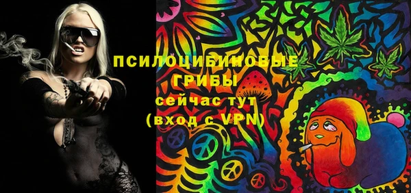тгк Алзамай