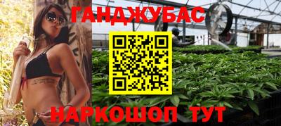 стаф Бердск