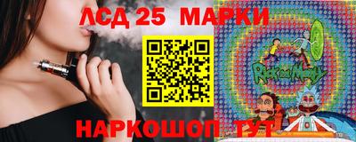 стаф Бердск