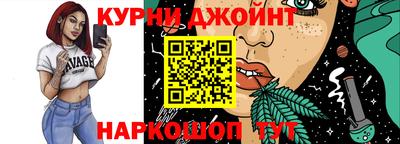 стаф Бердск