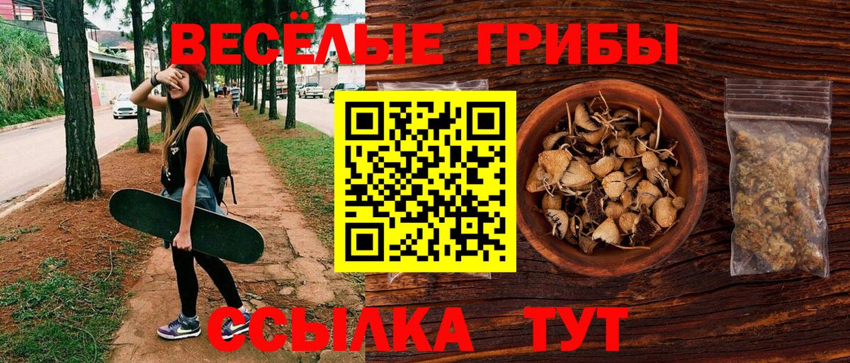 Галлюциногенные грибы Magic Shrooms  Вход с VPN  Псилоцибиновые грибы мицелий  купить наркотики сайты  Киреевск 